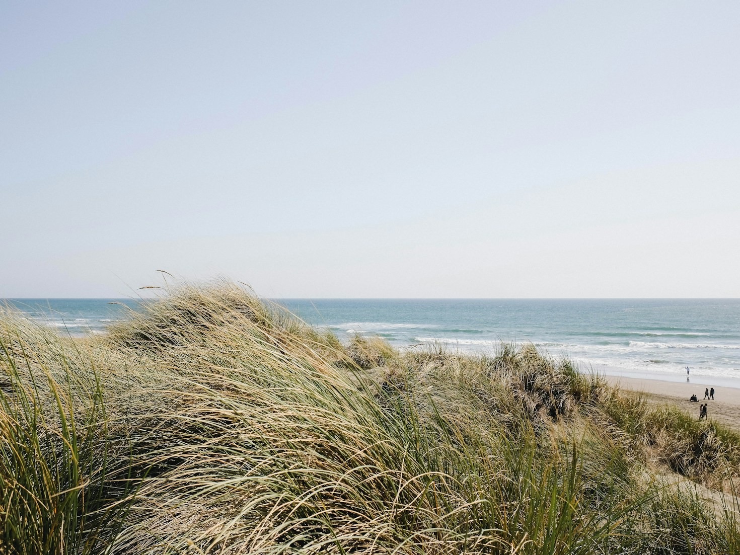 Why a Coastal Setting Enhances Relaxation